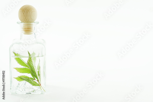 Jar with fresh leaves (SPA concept)