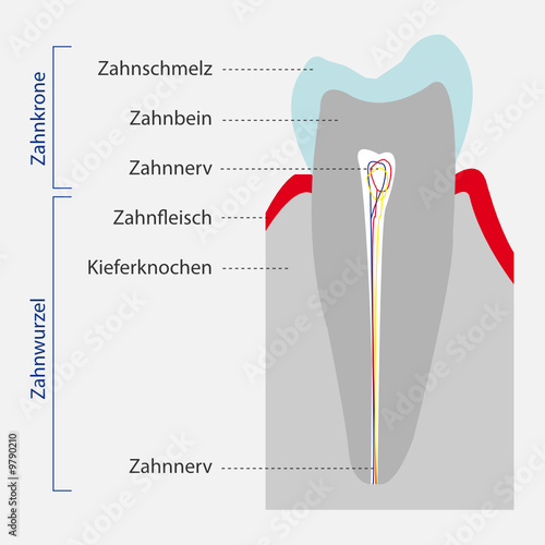 Grafik Zahn