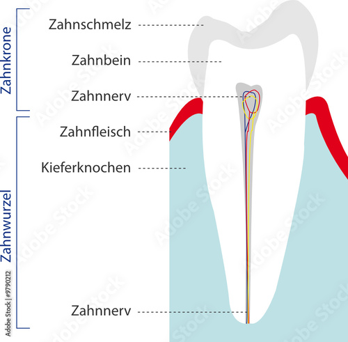 Grafik Zahn