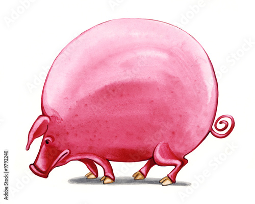 big pig