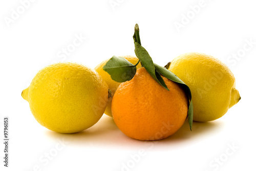 Mandarine und Zitronen