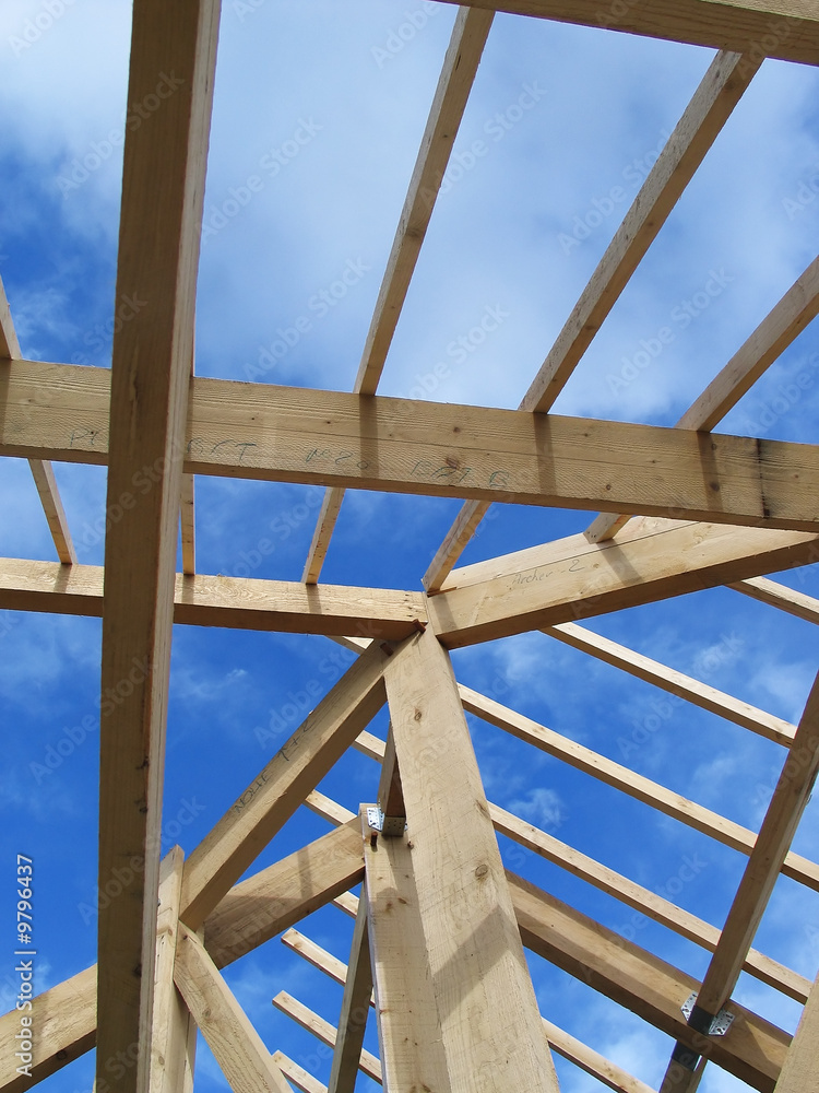 Obraz premium charpente