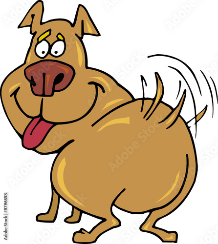 dog happy