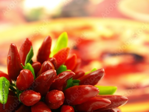 chili pepper and hot red pepper very close photo