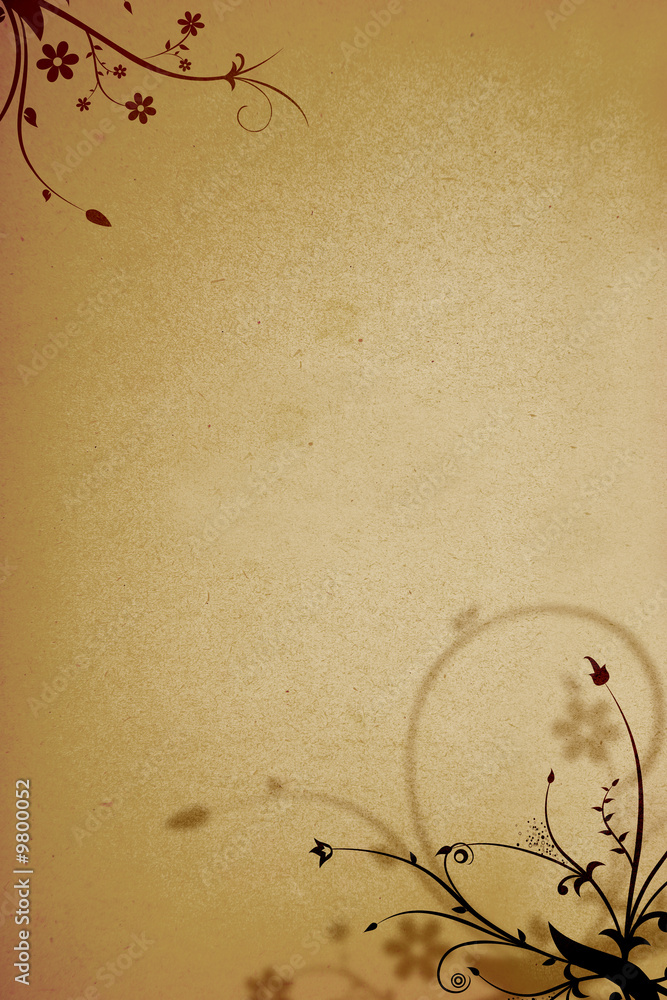 Obraz na plátně vector ornament designs on old paper background