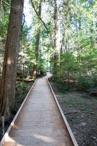 Shaded walkway