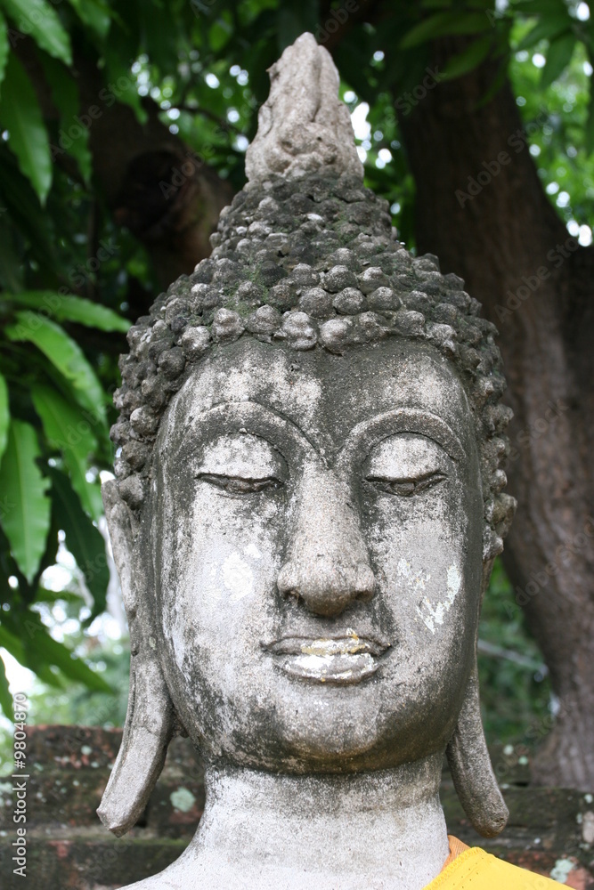 tete de bouddha sculpté ayuttaha