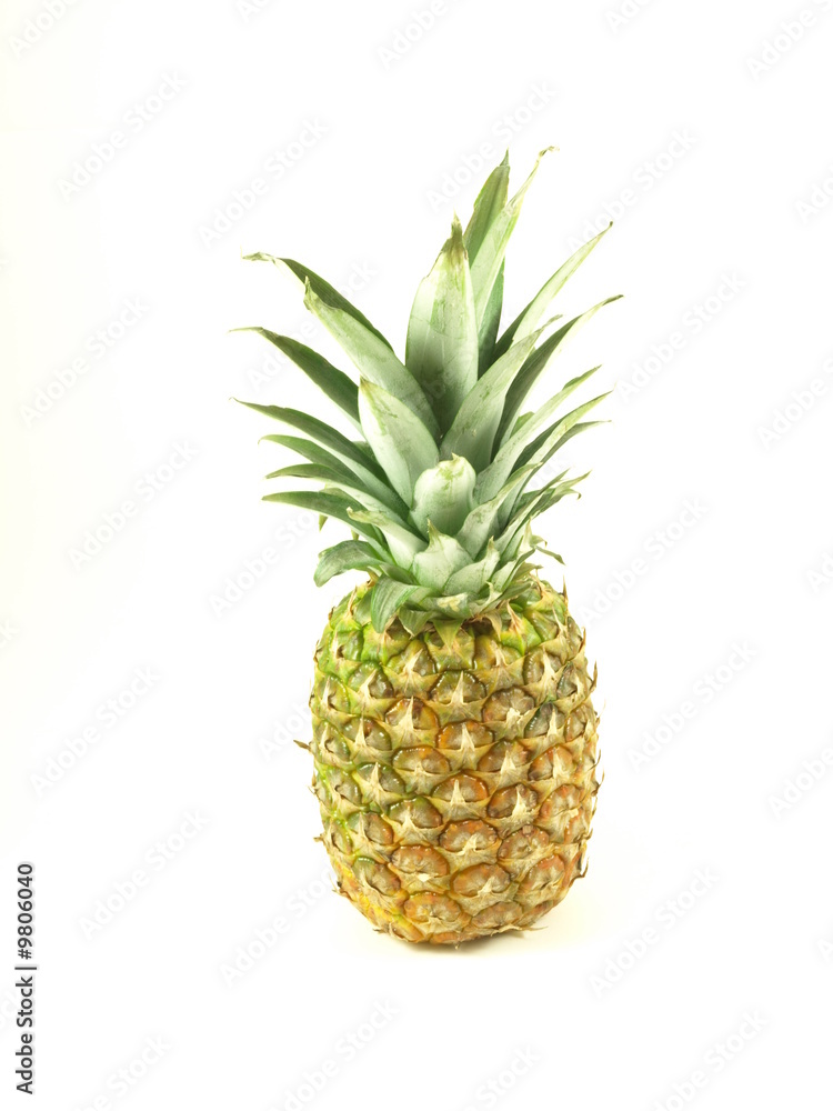 pineapple pineapple