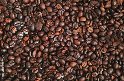Close up of coffee beans - close up
