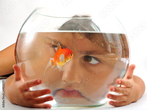 Foto A little girl looking at goldfish in fishbowl