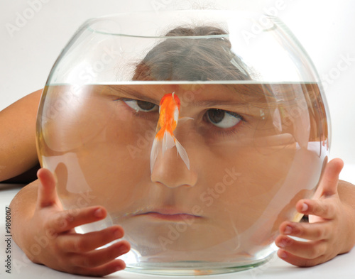 Foto A little girl looking at goldfish in fishbowl