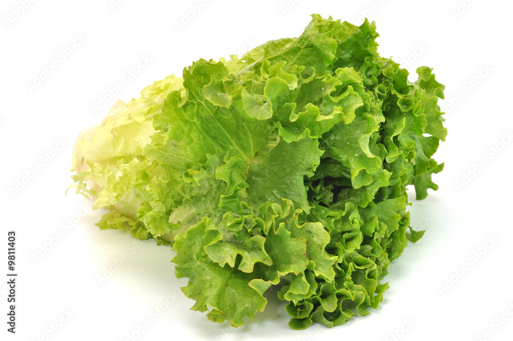 Green leafy lettuce isolated on white background. Green leafy lettuce isolated on white background.