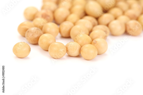 close-ups of soybeans isolated on white