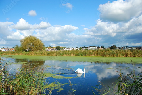 Topsham View photo