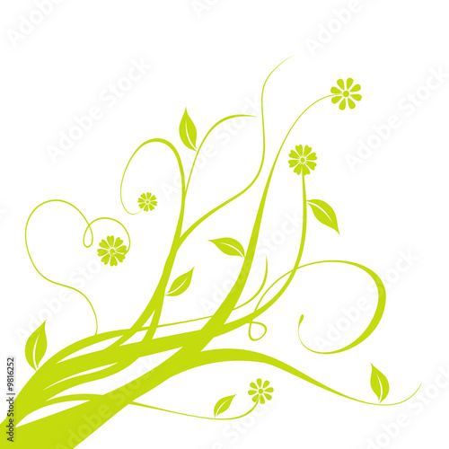Motif floral