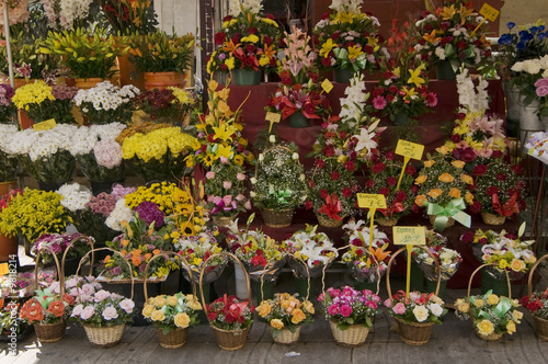 Floristeria