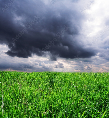 grassland and storm cloud