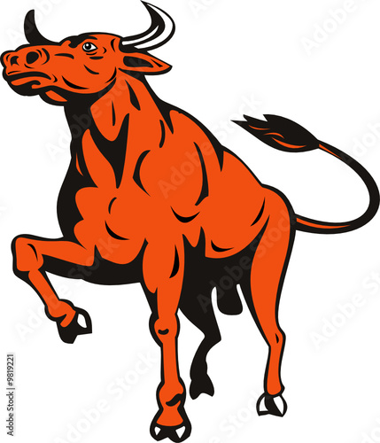 Raging bull
