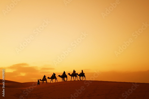 Caravan in Sahara desert photo