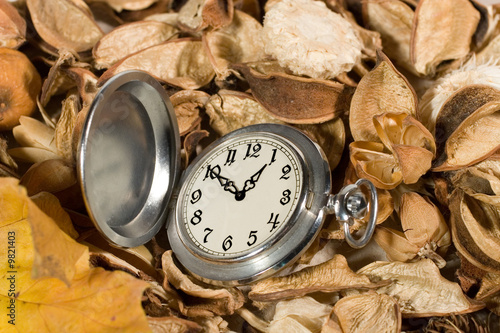 Antique pocket watch on dried flowers and leaves
