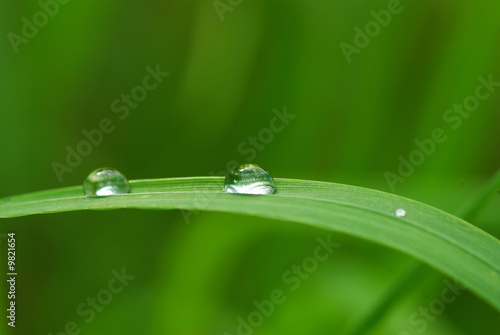 drop on a blade of grass