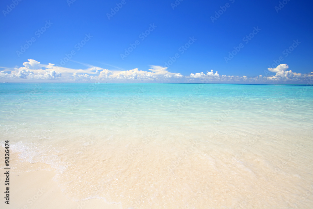 Exotic beach under a blue sky