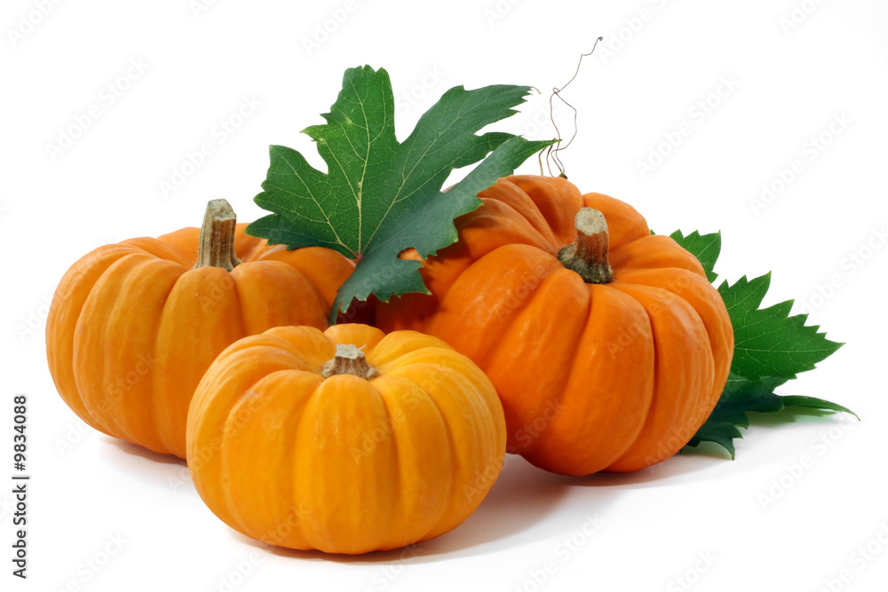 Pumpkins Pumpkins
