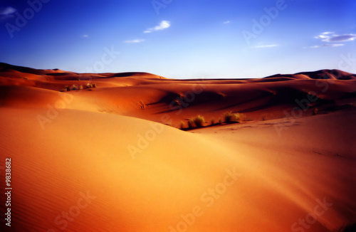 view of an african desert with blue sky