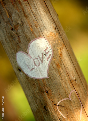 Declaration of love