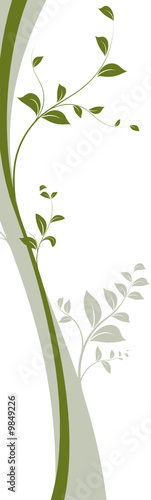 vecteur, liane isolé sur fond blanc - natural floral design