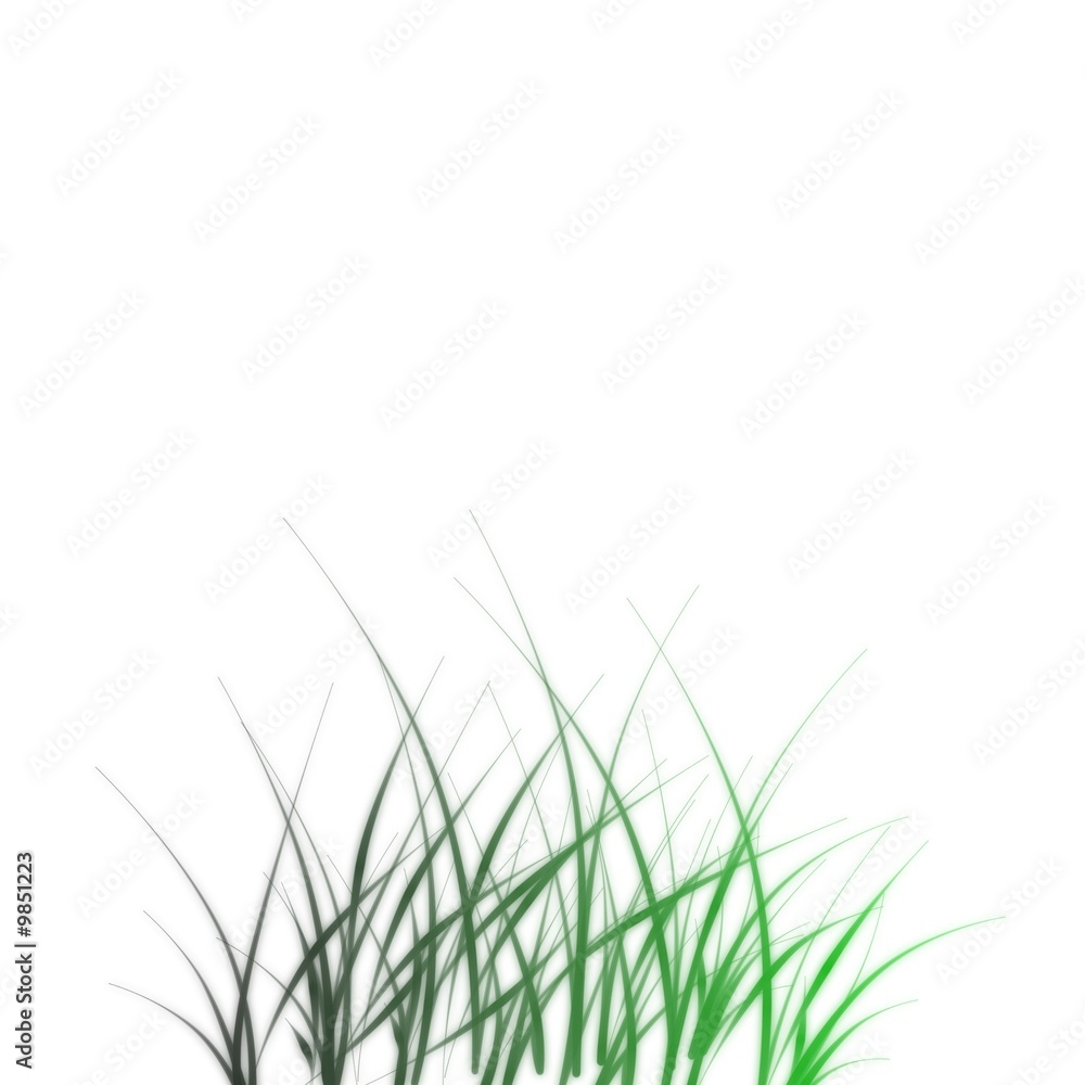 HERBE VERTE HERBE VERTE