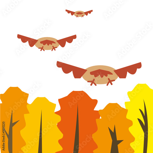 Illustration of migrant birds