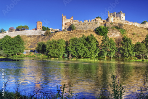 Castillo de Escalona.