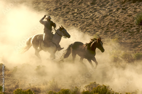 Cowboy galloping and roping wild horses through the desert