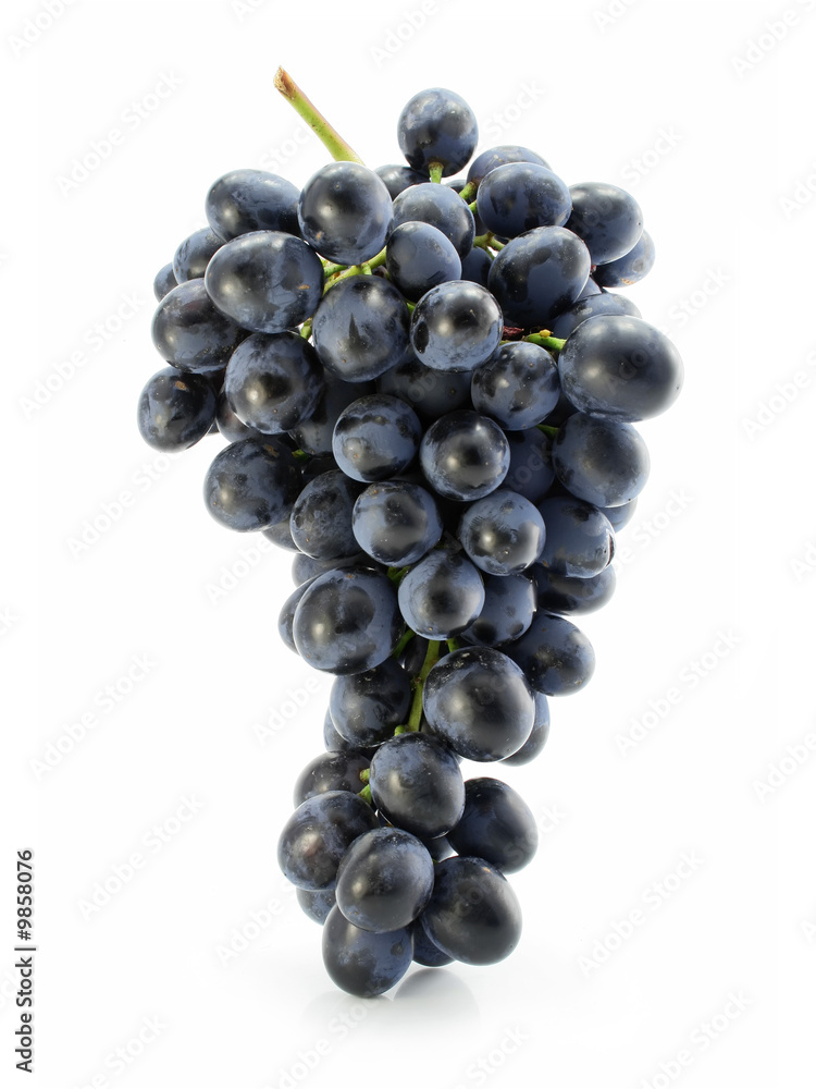 cluster of blue grape isolated on white background cluster of blue grape isolated on white background