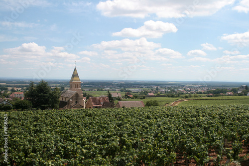 campagne dijonnaise photo