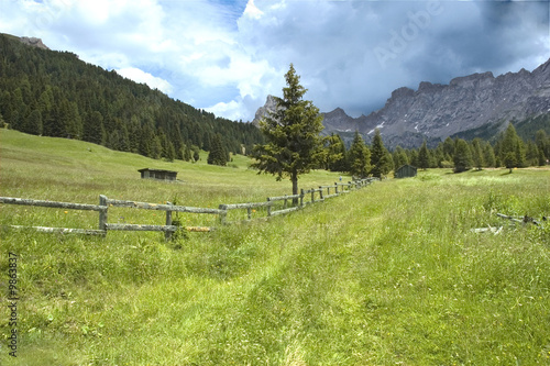 Odore di Pioggia