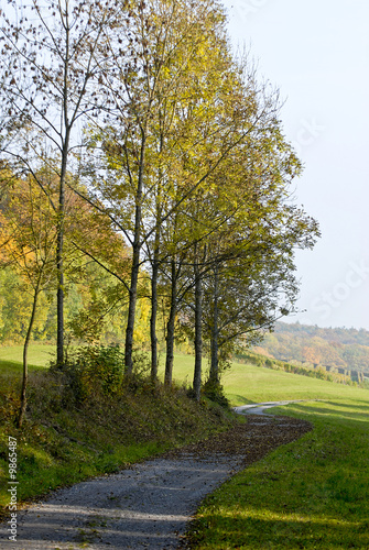 Fototapeta Naklejka Na Ścianę i Meble -  Farbenpracht im Herbst