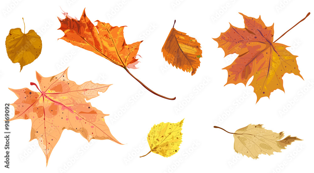 autumn leaves autumn leaves