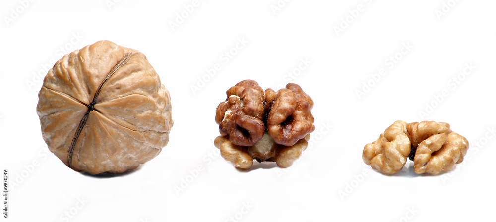 Nuts Nuts
