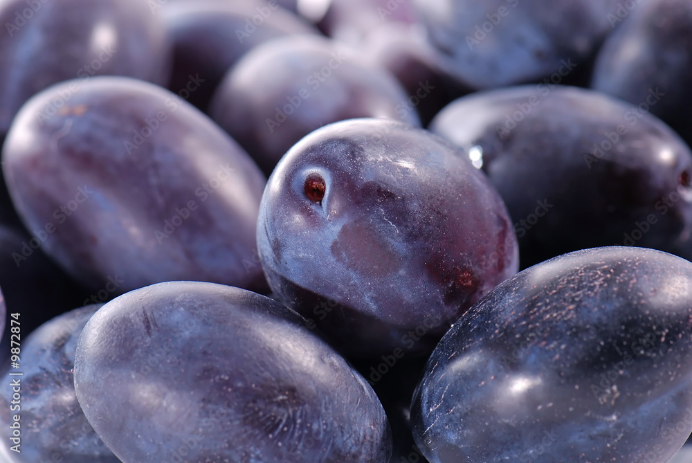 Obraz premium Plums in close-up