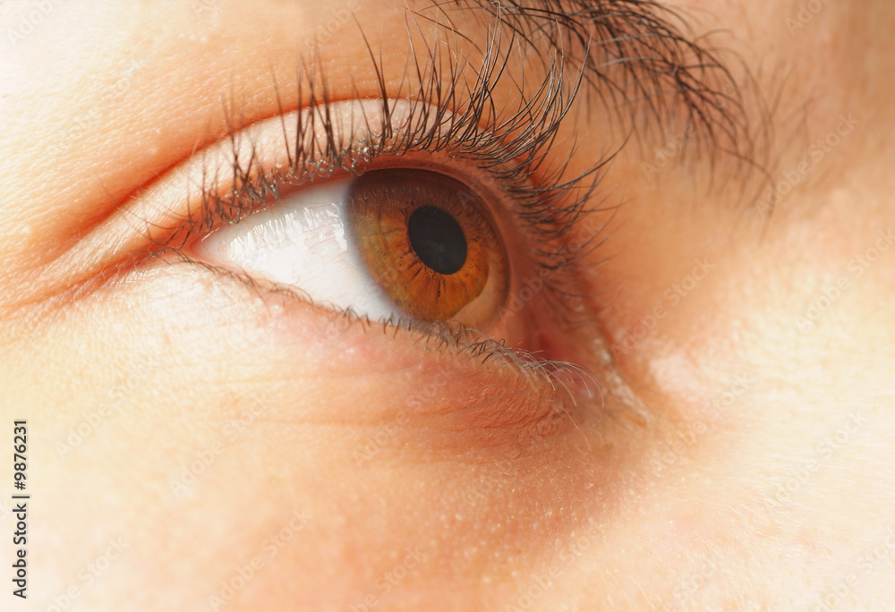 Obraz premium Macro of a beautiful eye