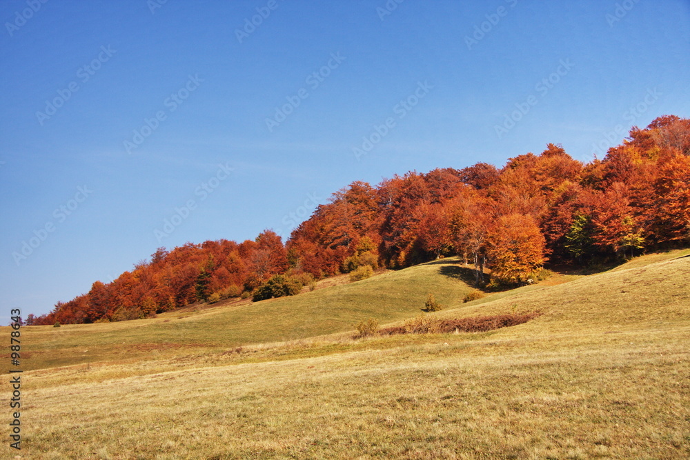colour of autumn