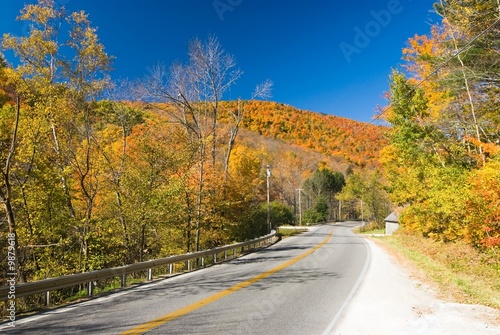 Road winding through a pefect fall scenery © finnegan
