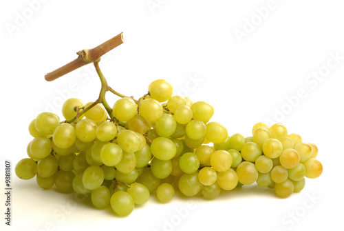 grappe de raisin blanc 3