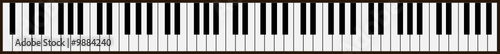 piano keys - vector