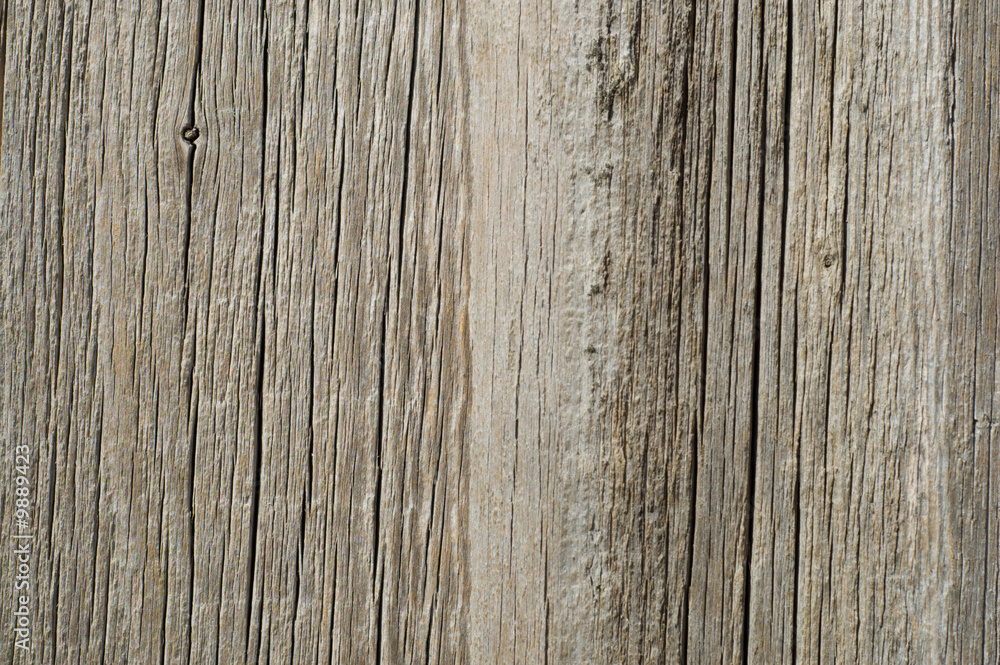 brown texture of old tree