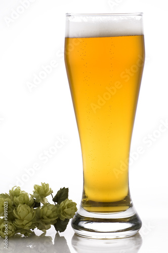 glass of beer and hops