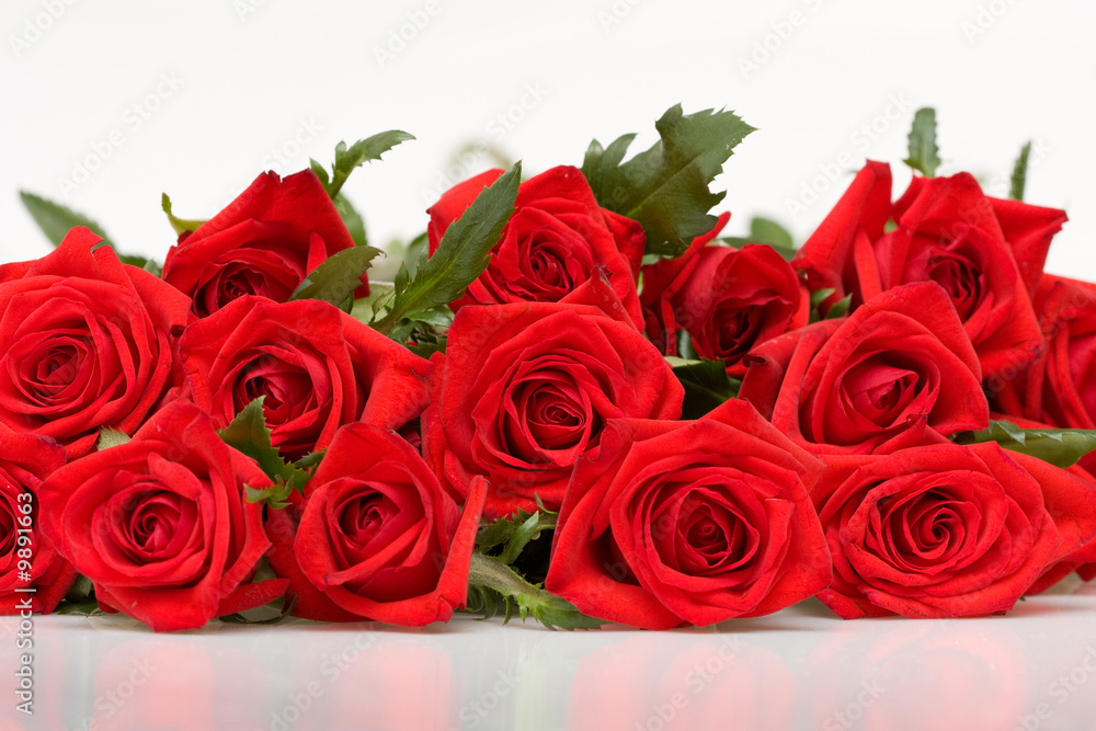 Obraz premium bunch of red roses on white background