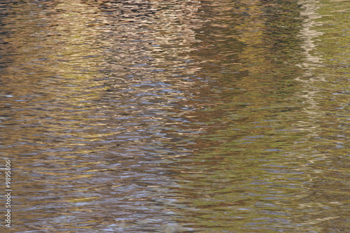 reflexes in autumn